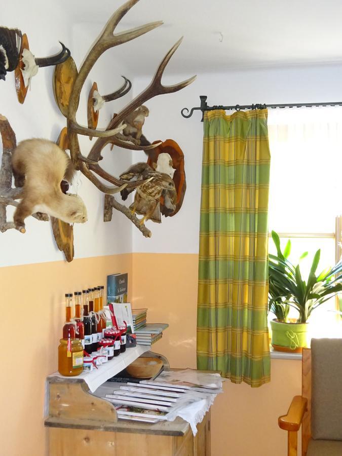Ferienwohnung Haus Lehen Sankt Koloman 외부 사진